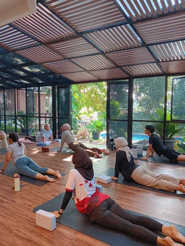 Hatha Vinyasa